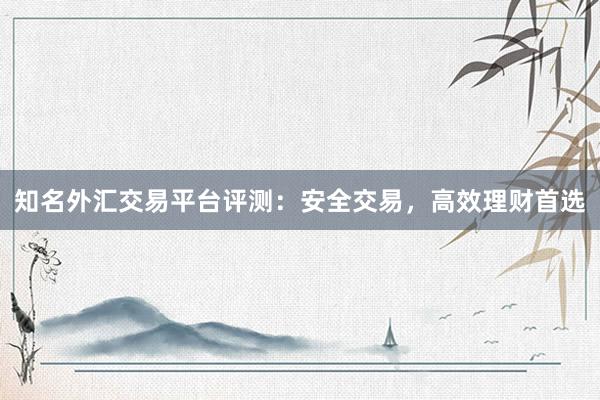 知名外汇交易平台评测：安全交易，高效理财首选