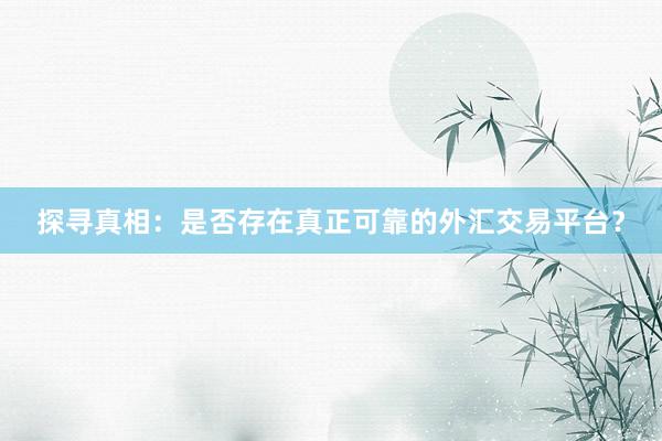 探寻真相：是否存在真正可靠的外汇交易平台？