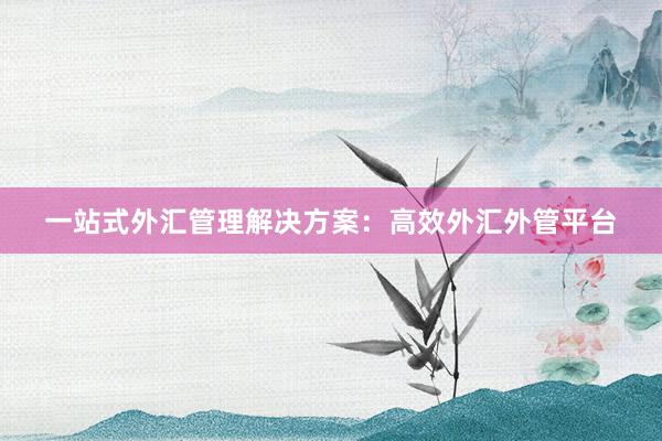 一站式外汇管理解决方案：高效外汇外管平台