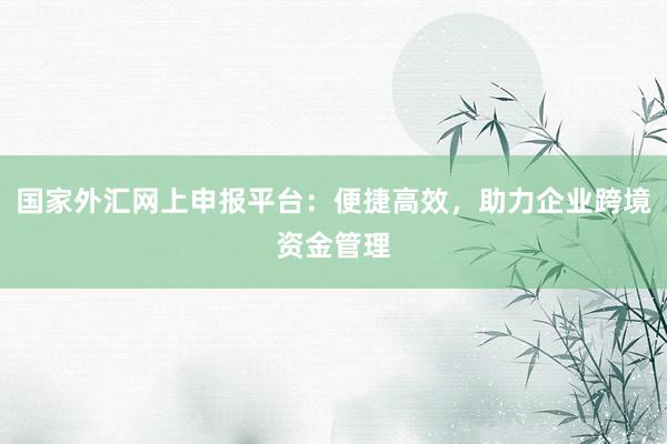 国家外汇网上申报平台：便捷高效，助力企业跨境资金管理
