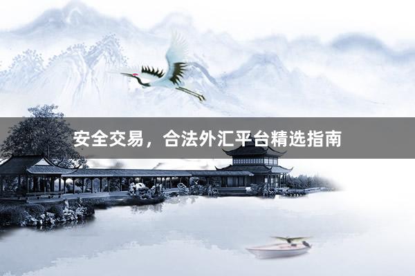 安全交易，合法外汇平台精选指南