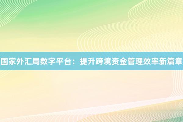 国家外汇局数字平台：提升跨境资金管理效率新篇章