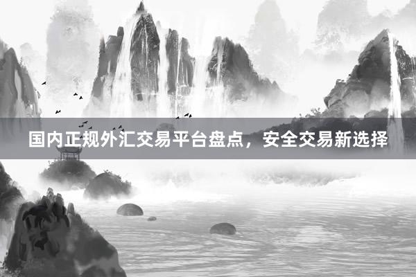 国内正规外汇交易平台盘点，安全交易新选择