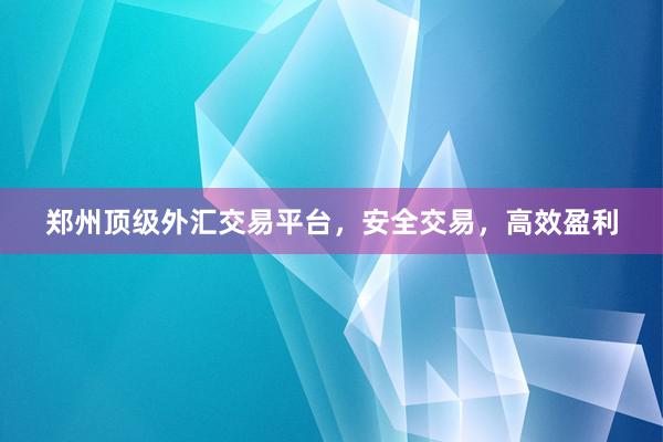 郑州顶级外汇交易平台，安全交易，高效盈利